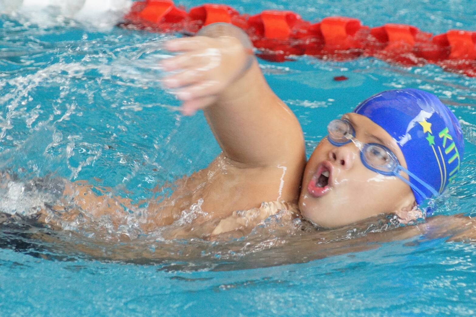 ยินดีกับฉลามหนุ่ม และ เงือกสาว