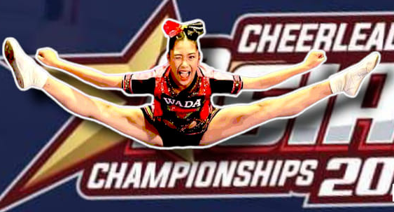 กวาดรางวัล 3 รุ่น 7 เหรียญรายการ 